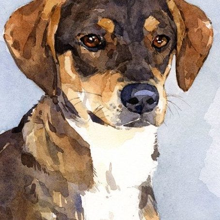 eom.webmaster2022@gmail.com